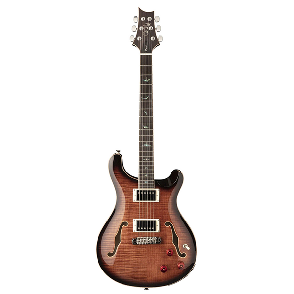 SE Hollowbody II Piezo BG